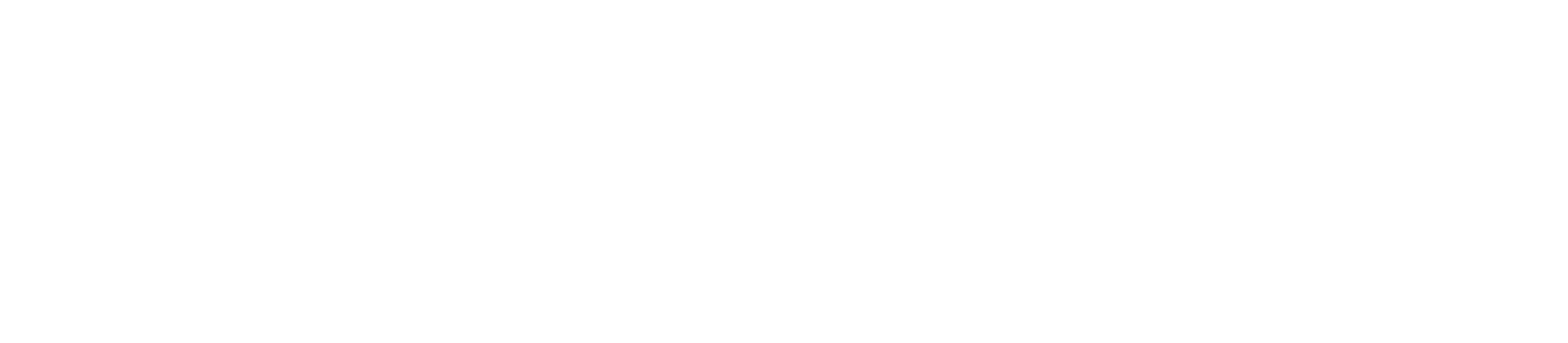 Anafartalar Logo Beyaz